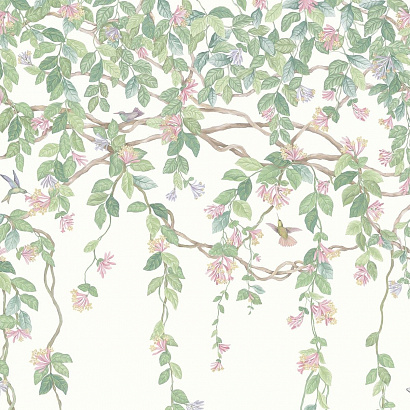 Флизелиновые обои Selection of Hummingbirds Cole & Son 124/2008