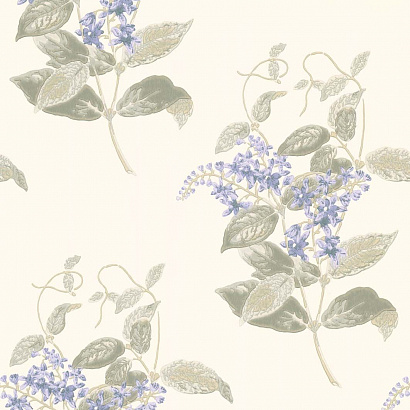 Флизелиновые обои Archive Anthology Cole & Son 100/12057