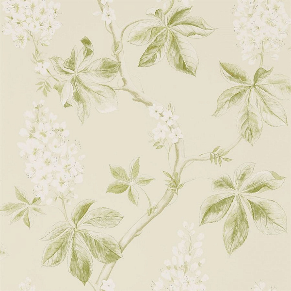 Флизелиновые обои Woodland Walk Sanderson 215707
