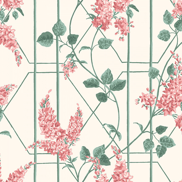 Флизелиновые обои Botanical Botanica Cole & Son 115/5012