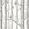 Флизелиновые обои The Contemporary Collection Cole & Son 95/5027