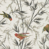 Флизелиновые обои  London Wallpapers IV Little Greene 0251GOSIGNA
