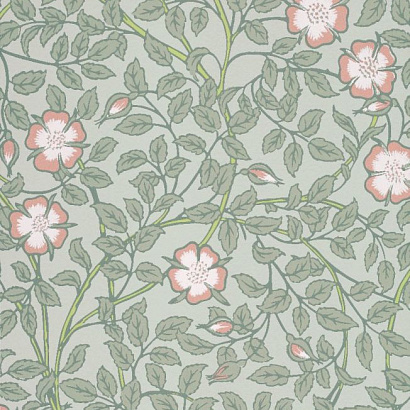 Флизелиновые обои National Trust Papers III Little Greene 0263BRSALIX