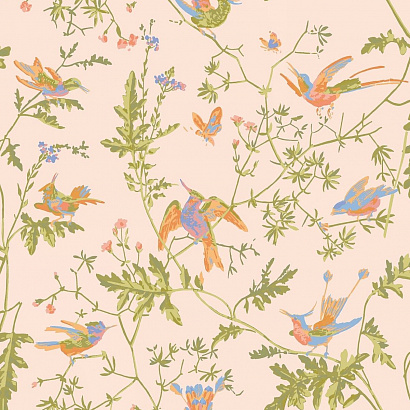 Флизелиновые обои Selection of Hummingbirds Cole & Son 124/1002