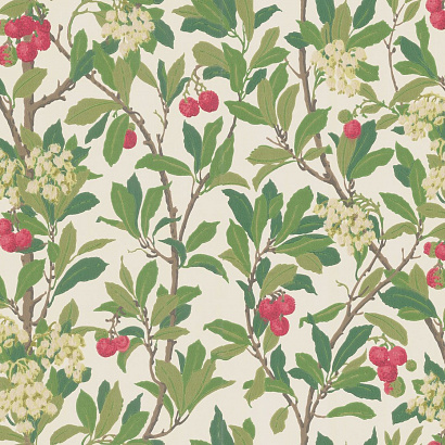 Флизелиновые обои Archive Anthology Cole & Son 100/10049