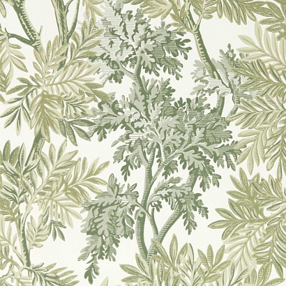Флизелиновые обои Country Woodland Sanderson DSAB217416