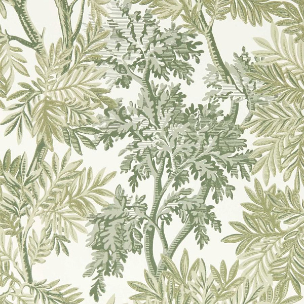 Флизелиновые обои Country Woodland Sanderson DSAB217416