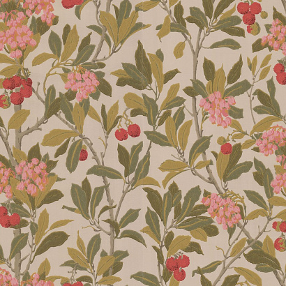 Флизелиновые обои Archive Anthology Cole & Son 100/10047