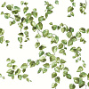 Флизелиновые обои Simply Farmhouse York Wallcoverings FH4036