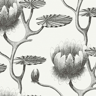 Флизелиновые обои Contemporary Restyled Cole & Son 95/4020