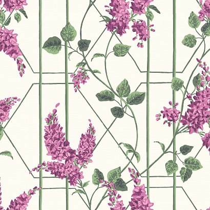 Флизелиновые обои Botanical Botanica Cole & Son 115/5013
