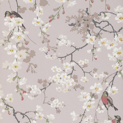 Флизелиновые обои National Trust Papers II Little Greene 0260MAGREYZ