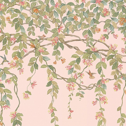 Флизелиновые обои Selection of Hummingbirds Cole & Son 124/2009