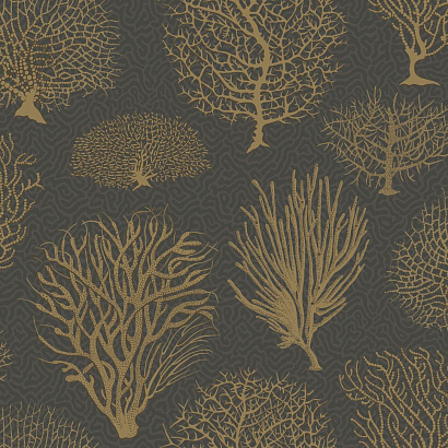 Флизелиновые обои Curio Cole & Son 107/2006