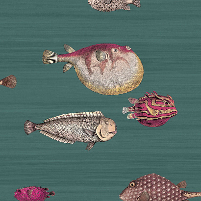 Флизелиновые обои Fornasetti Cole & Son 114/12024