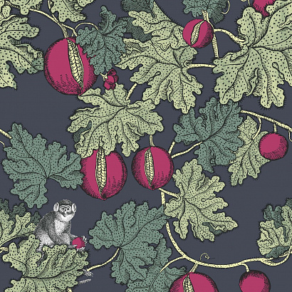 Флизелиновые обои Fornasetti Senza Tempo Cole & Son 114/1001
