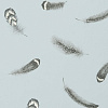 Флизелиновые обои Botanica Clarke&Clarke W0097/04