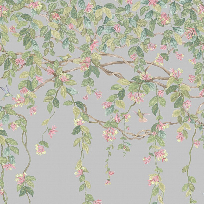 Флизелиновые обои Selection of Hummingbirds Cole & Son 124/2010
