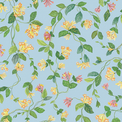 Флизелиновые обои Selection of Hummingbirds Cole & Son 124/3018