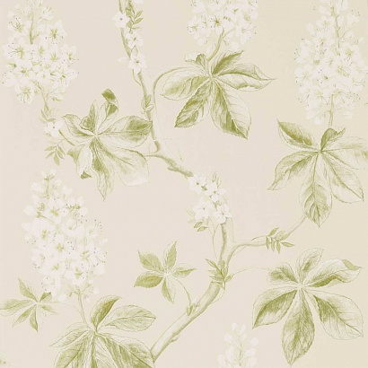 Флизелиновые обои Country Woodland Sanderson DWOW215707