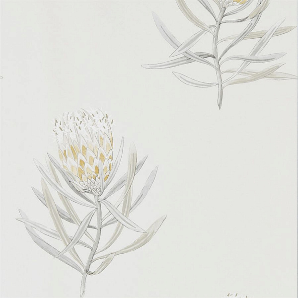 Флизелиновые обои Art Of The Garden Sanderson 216328