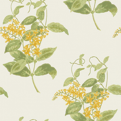 Флизелиновые обои Archive Anthology Cole & Son 100/12059