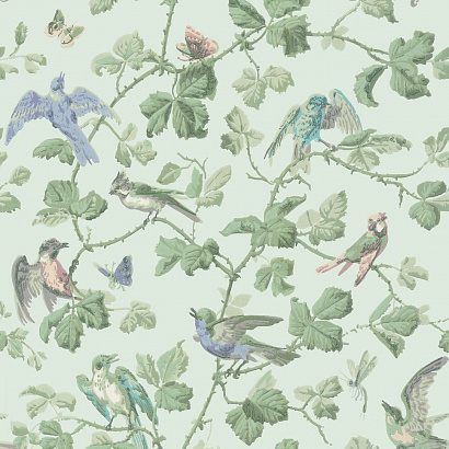 Флизелиновые обои Archive Anthology Cole & Son 100/2007