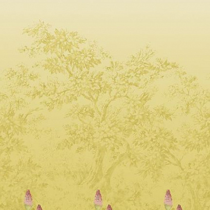 Флизелиновые обои National Trust Papers III Little Greene 0263UBSOLEI