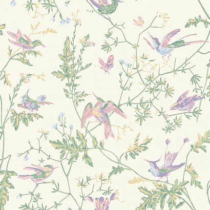 Флизелиновые обои Selection of Hummingbirds Cole & Son 124/1001
