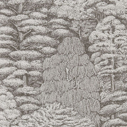 Флизелиновые обои Arboretum Sanderson 215716