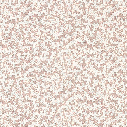 Флизелиновые обои Arboretum Sanderson 217240