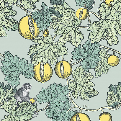 Флизелиновые обои Fornasetti Cole & Son 114/1002