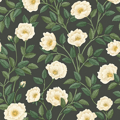Флизелиновые обои HRP - Great Masters Cole & Son 118/7016