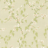 Флизелиновые обои Archive Trails Little Greene 0247SAPOMME