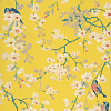 Флизелиновые обои National Trust Papers II Little Greene 0260MAYELLO