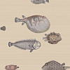Флизелиновые обои Fornasetti Senza Tempo Cole & Son 114/16033
