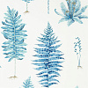 Флизелиновые обои The Glasshouse Sanderson 216635