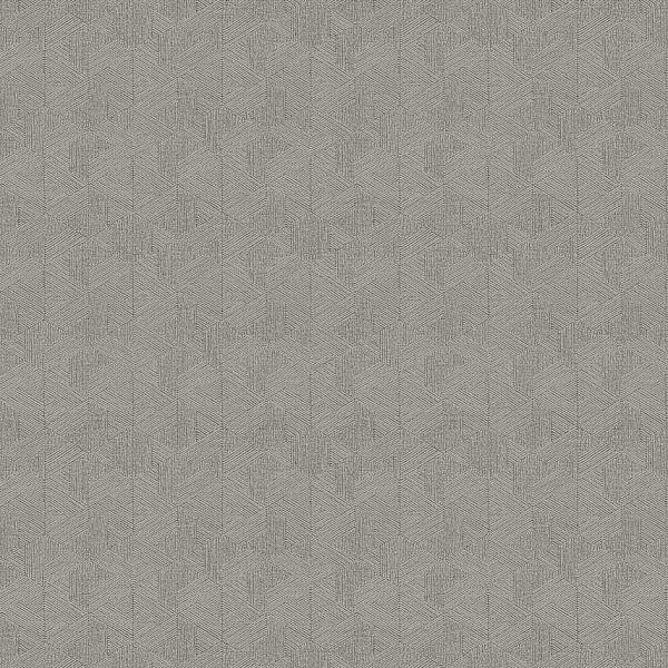 Флизелиновые обои Pavone Architector PA01623