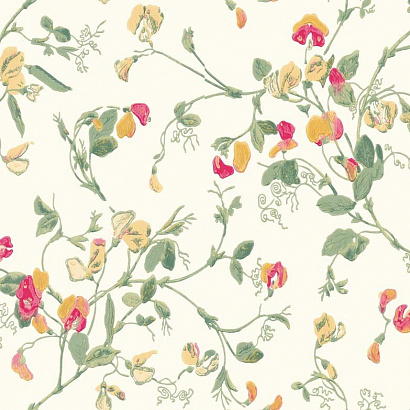 Флизелиновые обои Archive Anthology Cole & Son 100/6027