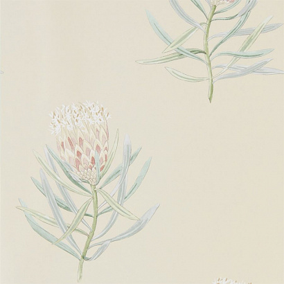 Флизелиновые обои Art Of The Garden Sanderson 216329