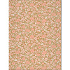 Флизелиновые обои National Trust Papers IV Little Greene 0267SPBOMBO