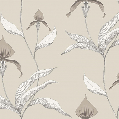 Флизелиновые обои Contemporary Restyled Cole & Son 95/10058