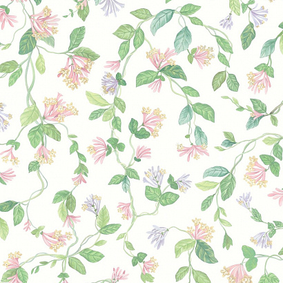 Флизелиновые обои Selection of Hummingbirds Cole & Son 124/3015