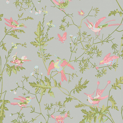 Флизелиновые обои Selection of Hummingbirds Cole & Son 124/1003