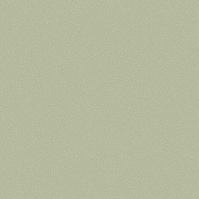 Флизелиновые обои Landscape Plains Cole & Son 106/2027