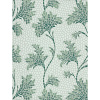 Флизелиновые обои National Trust Papers IV Little Greene 0267MOAQUAM