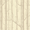 Флизелиновые обои The Contemporary Collection Cole & Son 69/12148